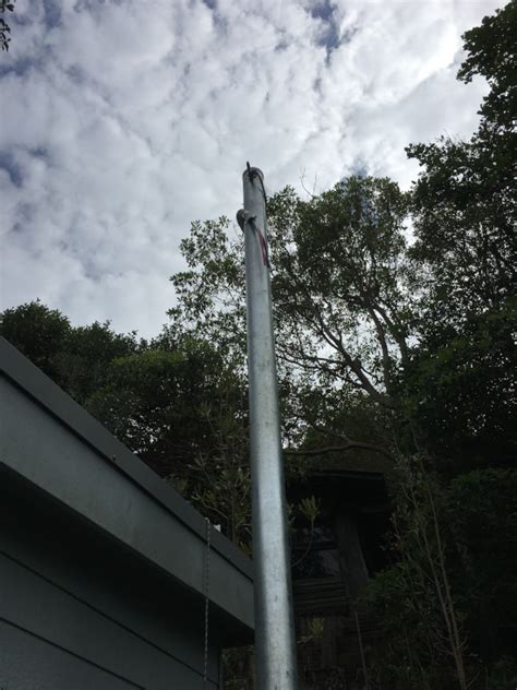 Private Pole Snapped Palm Beach Everest Electrical
